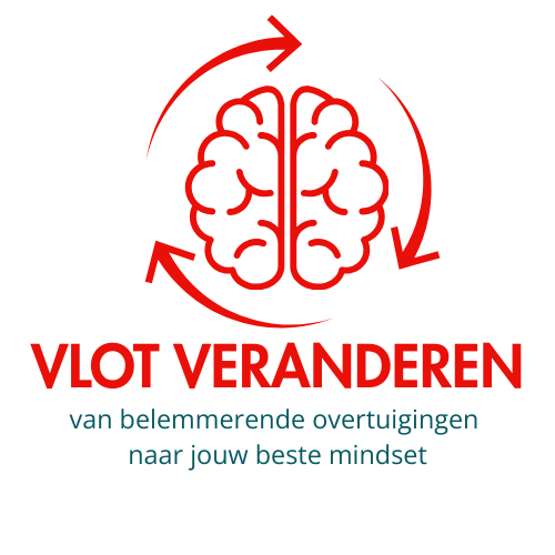Logo Vlot Veranderen